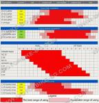 МОТО ГУМА ВЪНШНА 90/90-21 54R TT C-19 EAGLE SUPER МИТАС /ПРЕОЦЕНЕНА 2023г./-4